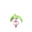 Steenee