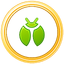 BugCatcher Gold.png