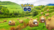 Bidoof Day
