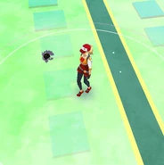 Map View Gastly render failure