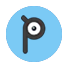 Pokédex Unown P Selected