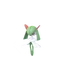 Kirlia