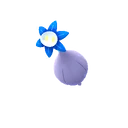 Glimmet