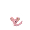Minccino