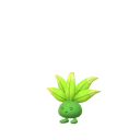 Oddish