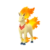 Rapidash