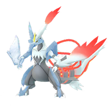 reshiram, zekrom, kyurem, black kyurem, and white kyurem (pokemon)