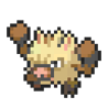 Primeape