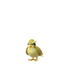 Pidgey