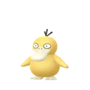 Psyduck