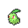Chikorita
