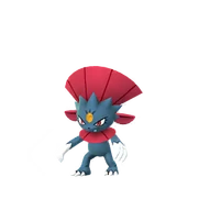 Weavile female