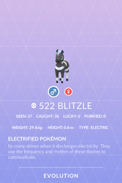 Blitzle (Pokémon) - Bulbapedia, the community-driven Pokémon