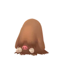Piloswine