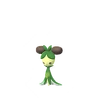 Dolliv