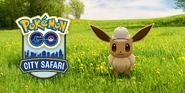 Eevee promotional banner