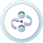 Pilot Silver.png