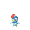 Piplup