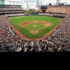 Location Background MLB Baltimore Orioles