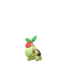 Turtwig