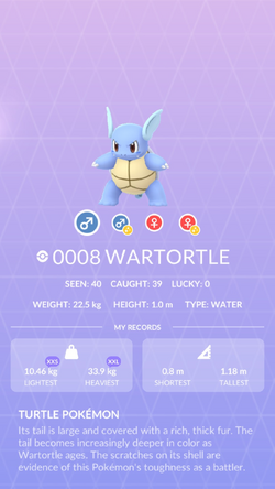 Wartortle (Pokémon GO): Stats, Moves, Counters, Evolution