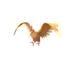 Fearow