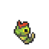 Caterpie