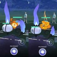 Incinerate used in a Trainer Battle