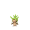Chespin