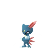 Sneasel