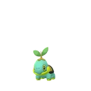 Turtwig