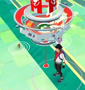 Meltan in Map View