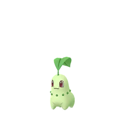Chikorita