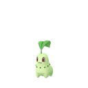 Chikorita