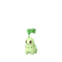 Chikorita