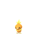 Torchic