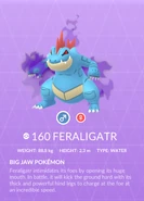 Feraligatr Shadow Pokédex entry