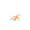 Goldeen