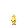 Torchic