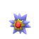 Starmie