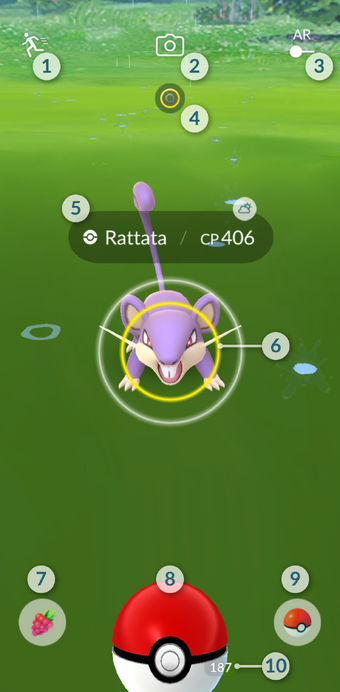 Catching Pokemon Pokemon Go Wiki Fandom