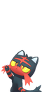 Photobomb Litten.png