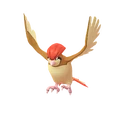 Pidgeotto