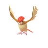 Pidgeotto