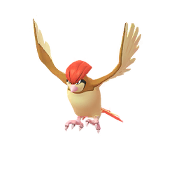 Pidgeotto, Pokémon GO Wiki