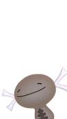 Wooper