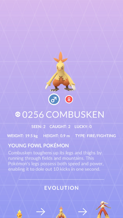 pokemon shiny combusken