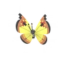 Vivillon