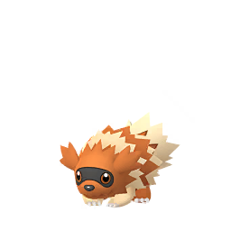 Zigzagoon Pokemon Go Wiki Fandom