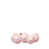 Exeggcute